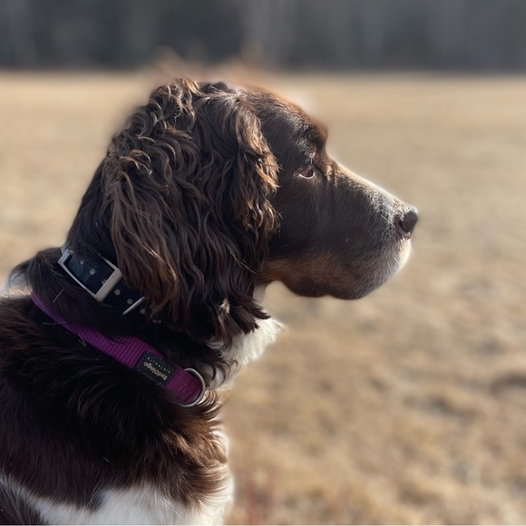 Meet your Posher, Jill - Picture 1 of 1